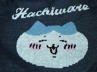 hachiware250204.jpg