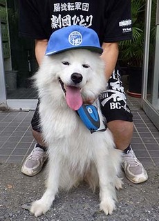 hakase1808022.jpg