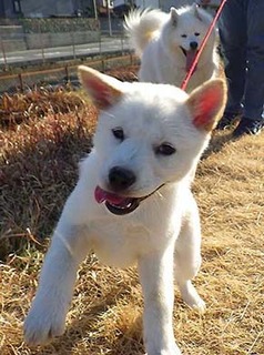 hatsu2001215.jpg
