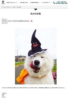 helloween190113.jpg