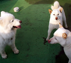 higan_0903228.jpg