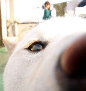 higan_0903229.jpg
