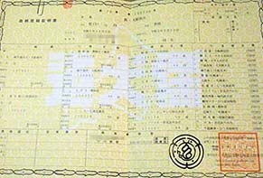 hihig2002141.jpg