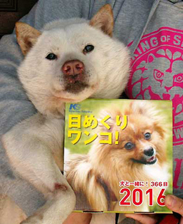 himekuri160201.jpg