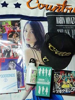 hp2303191.jpg
