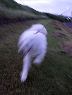 i_dote1809095.jpg