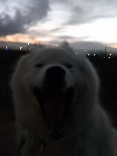 i_dote2001231.jpg