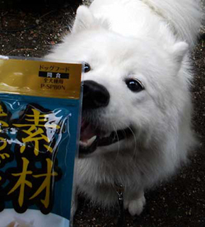 i_nankotsu1508051.jpg