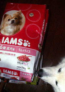 iams160407.jpg