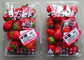 ichigo1905201.jpg