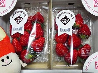 ichigo240505.jpg