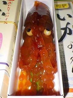 ika2101142.jpg