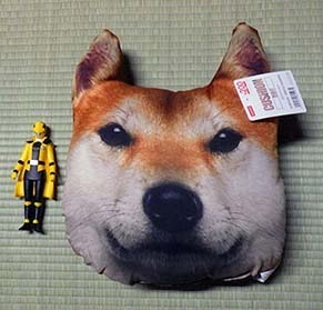 inu_c1808071.jpg