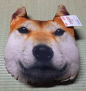 inu_c1808072.jpg