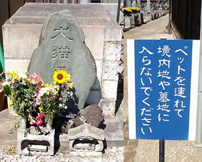 inuneko120924.jpg