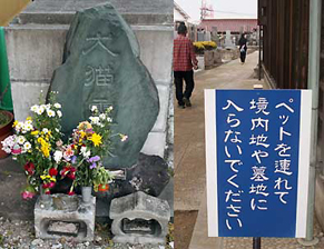inuneko130324.jpg