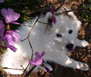 iyo_1404112.jpg