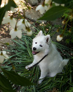 iyo_1405141.jpg