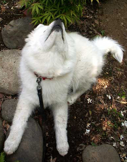 iyo_1405143.jpg
