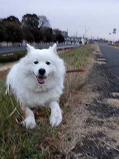 iyo_d1801052.jpg