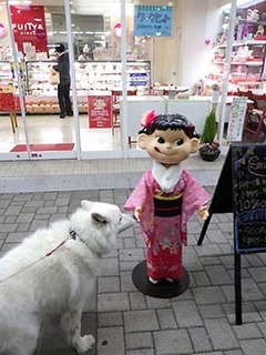 iyo_d1801053.jpg