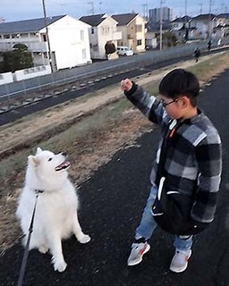 iyo_d1802042.jpg