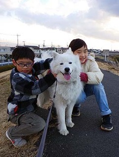 iyo_d1802111.jpg