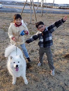 iyo_d1802113.jpg