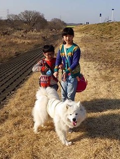 iyo_d1803047.jpg