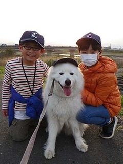 iyo_d1804011.jpg