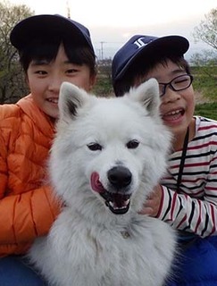 iyo_d1804013.jpg