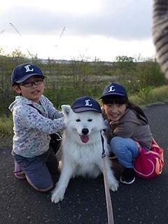 iyo_d1804081.jpg