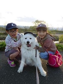 iyo_d1804085.jpg