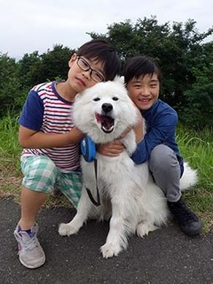 iyo_d1806171.jpg