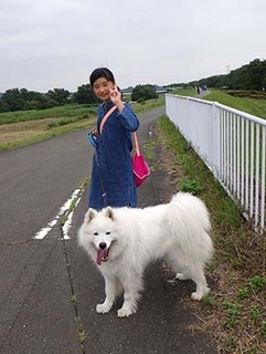 iyo_d1806173.jpg