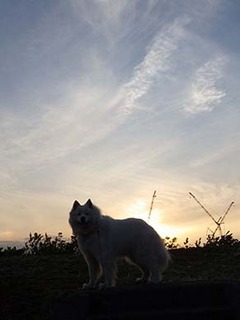 iyo_d1905151.jpg