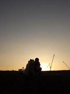 iyo_d1905171.jpg