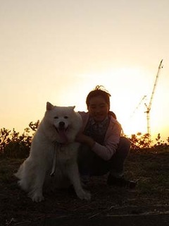 iyo_d1905172.jpg