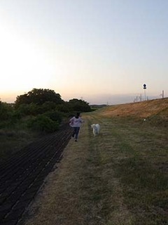 iyo_d1905174.jpg