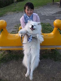 iyo_d1905176.jpg