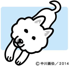 iyo_illust140517.jpg