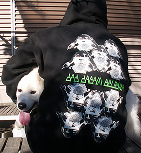 iyo_p1612011.jpg