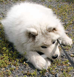 iyo_s1404133.jpg
