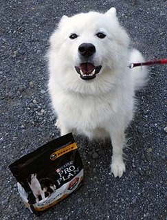 iyofood1711011.jpg