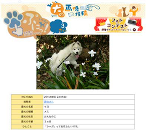 iyopuni140613.jpg