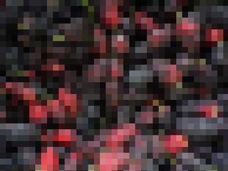 jam250523_a.jpg