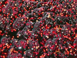 jam250528.jpg