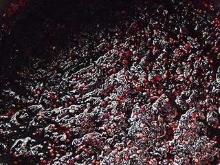 jam250531.jpg