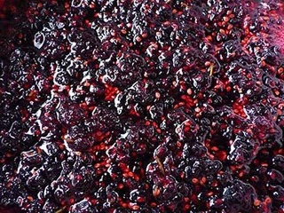 jam250604.jpg