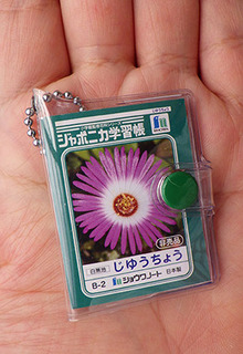 japonica170518.jpg